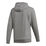Category Graphic Hoody Men
