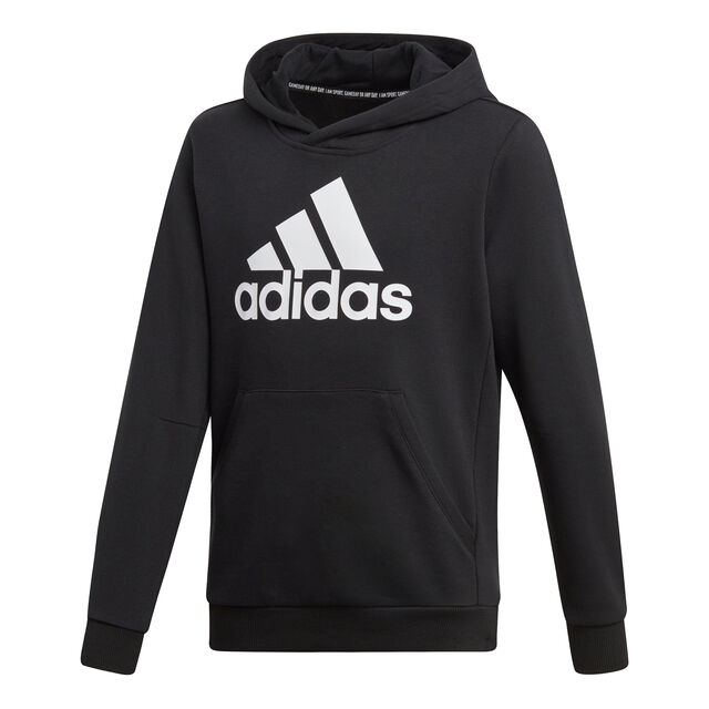 Must Have Badge of Sports Pullover Boys